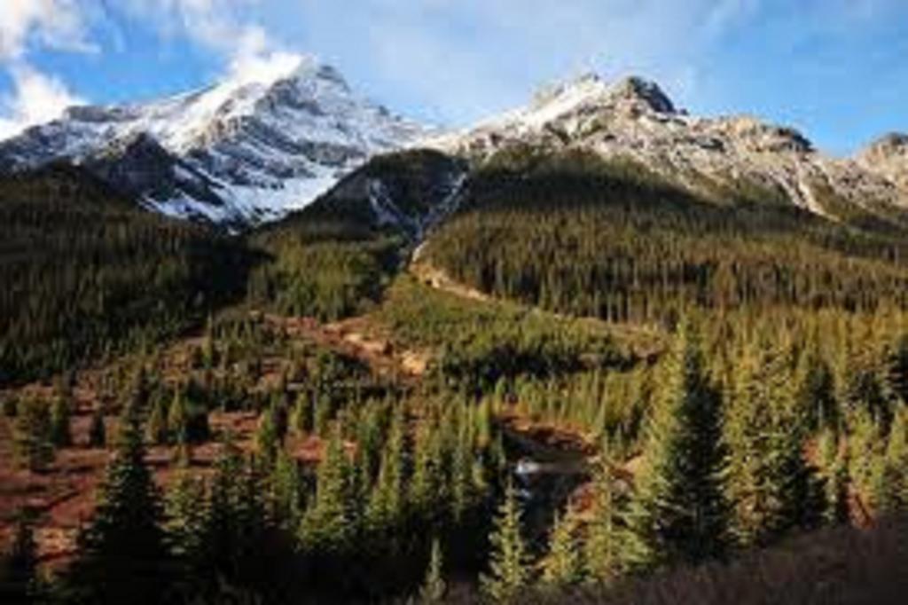 Hotel Ruidoso Εξωτερικό φωτογραφία